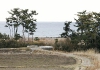 tsunami pictures: beach in Odaka, Fukushima Prefecture, Japan, before tsunami